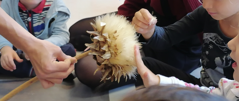 Atelier de découverte sensorielle sur les graines
