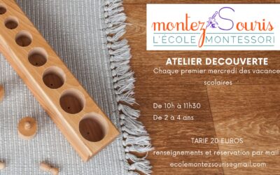 Atelier Découverte de la Pédagogie Montessori  15 Avril 2026 de 10h à 11h30